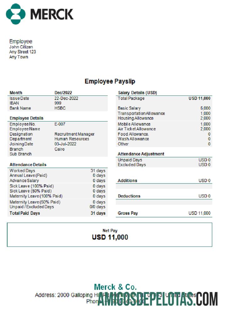 Esboço de pagamento da Merck & Co. Pharmaceutical Company dos EUA exemplo real